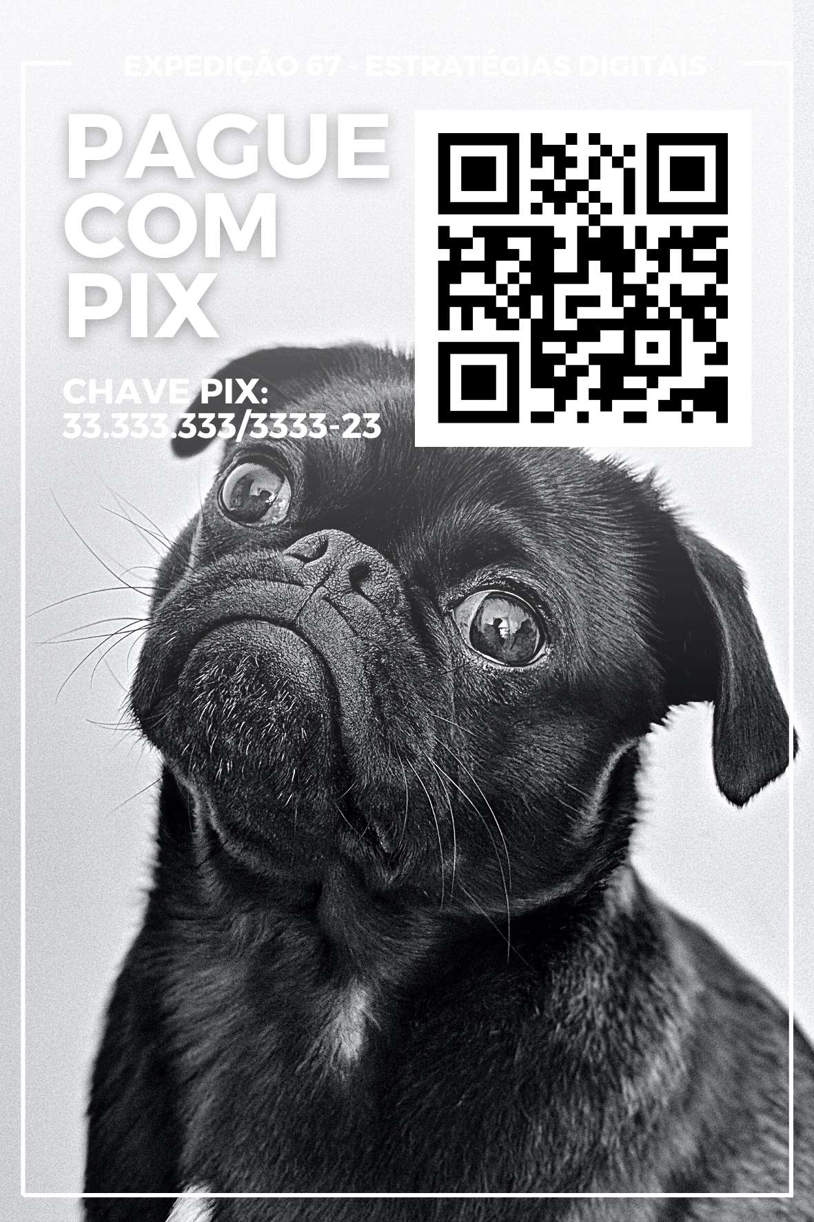 Arte Display PIX 225