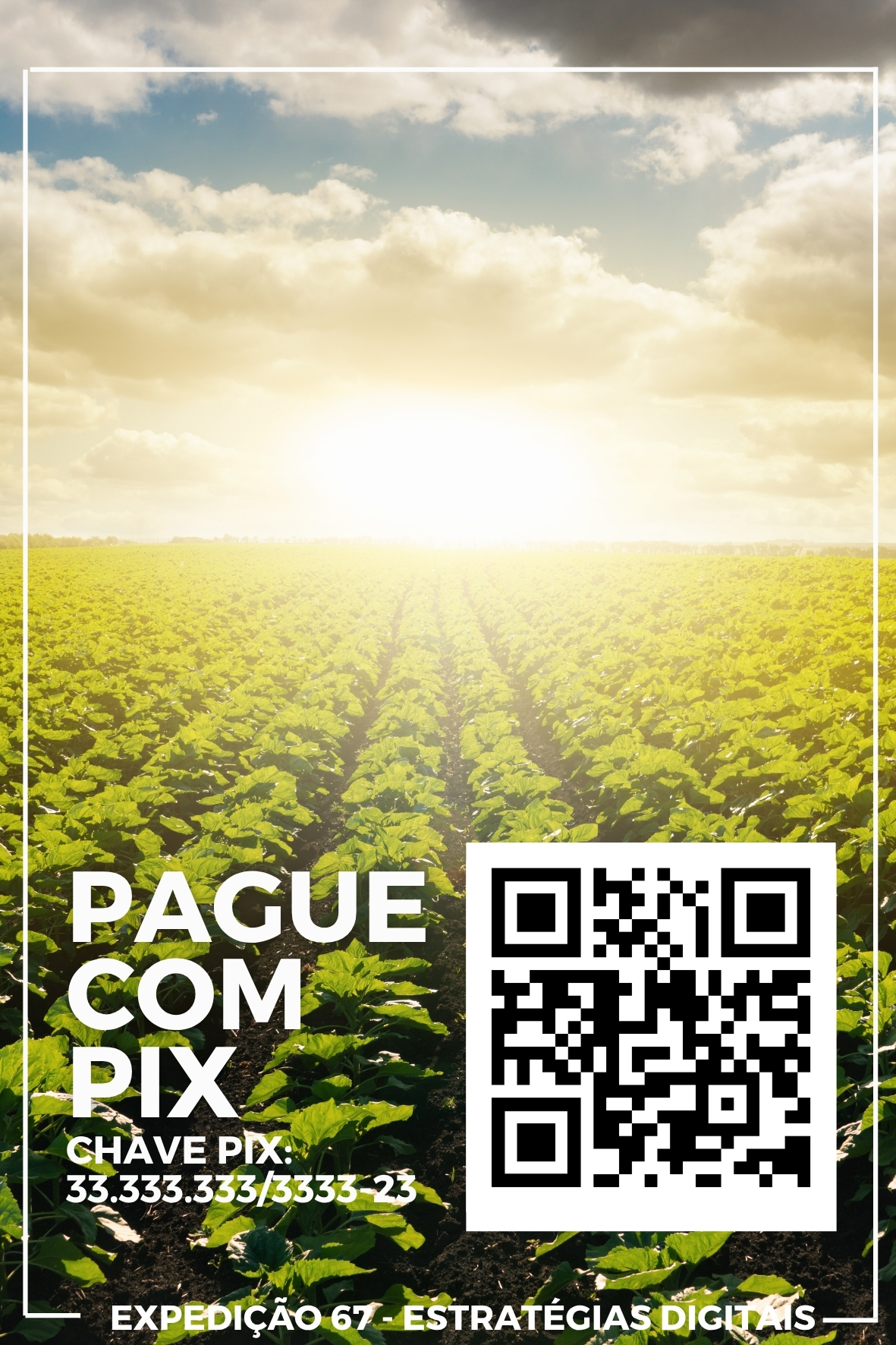 Arte Display PIX 230