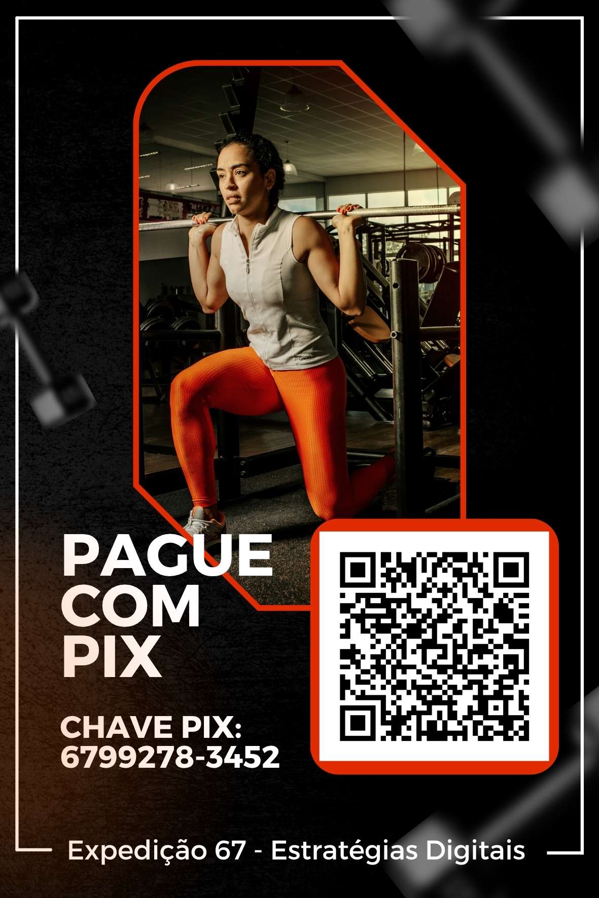 Arte Display PIX 237