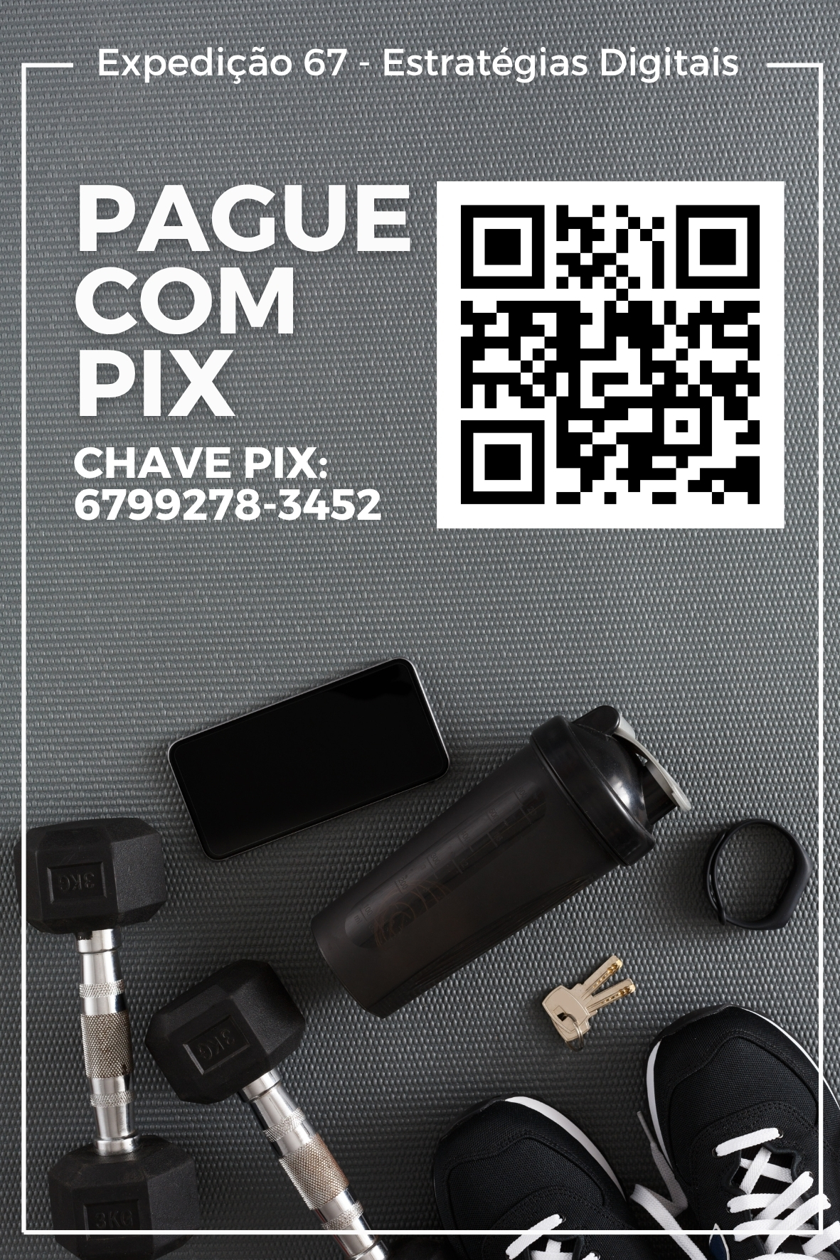 Arte Display PIX 239