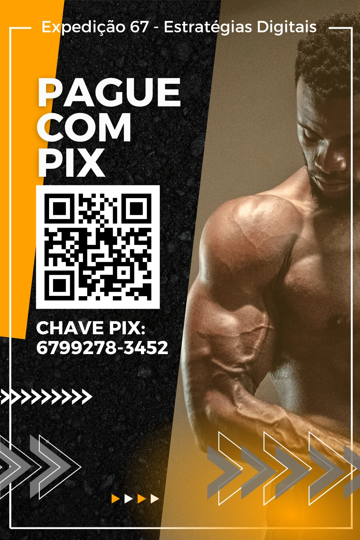 Arte Display PIX 240