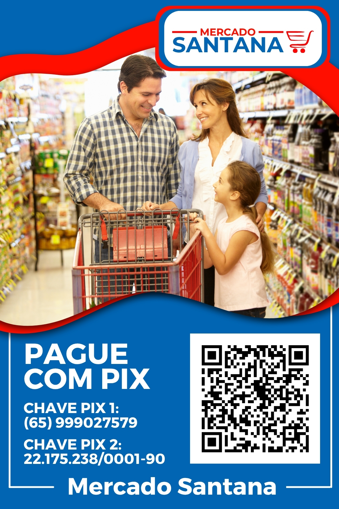 Arte Display PIX 270