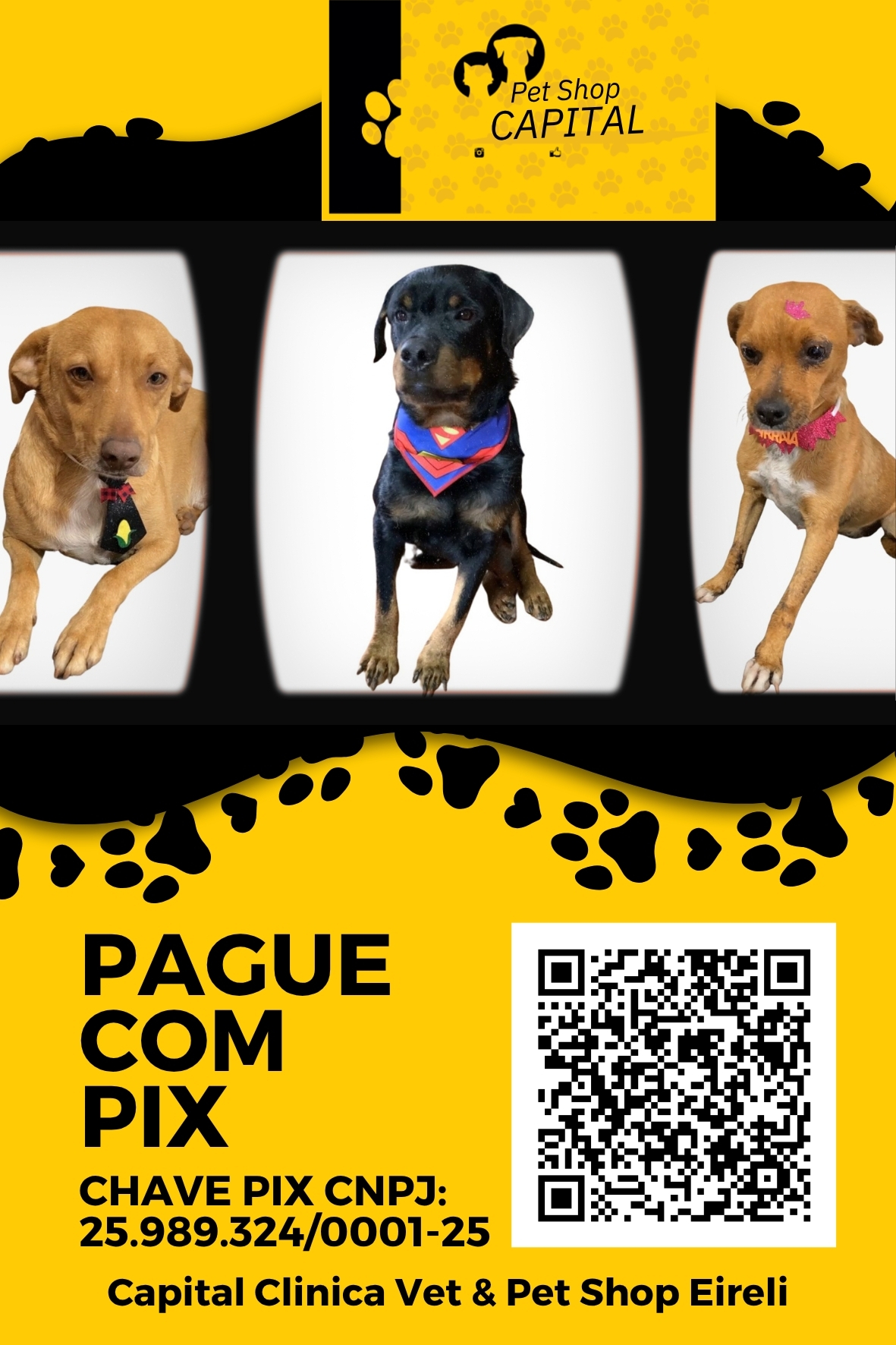 Arte Display PIX 313